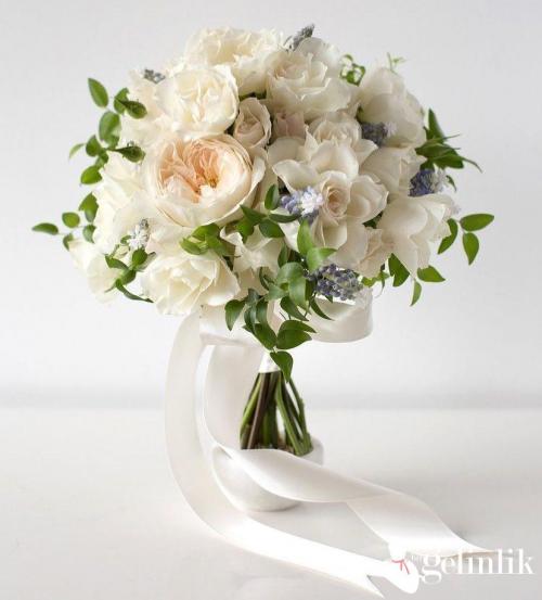 Sade Gelin Çiçeği